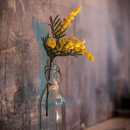 Mit Industriecharme/ Netflix + Wifi&zentrumsnah Apartment *